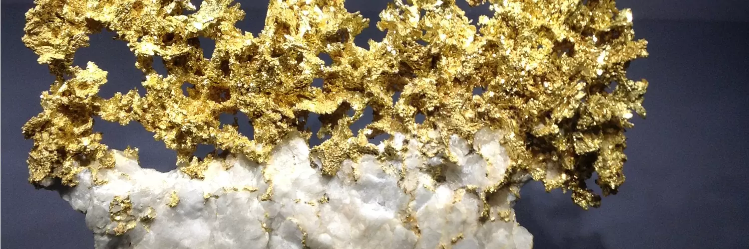 This photo shows gold, exhibited in the mineral gallery of the Natural History Museum in Paris.