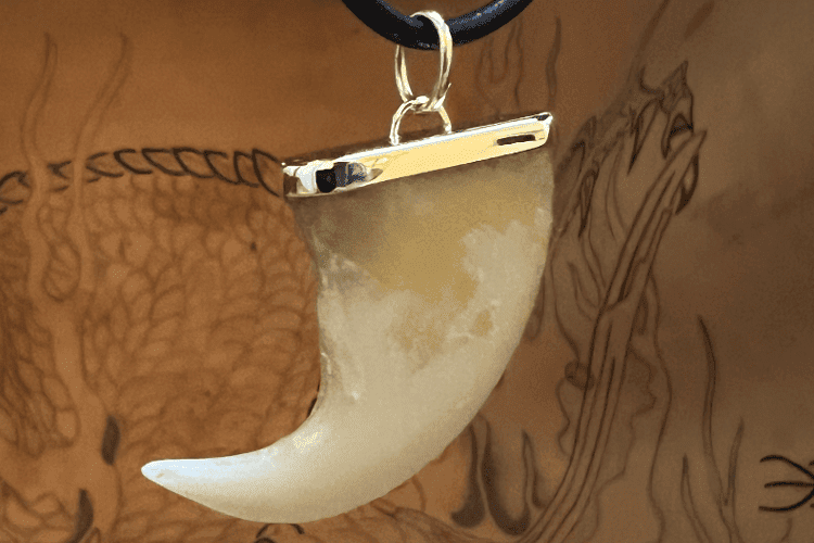 Pendentif homme, Paris Une griffe d'ours a été montée en pendentif pour homme, par la joaillière Annette Girardon, à Paris. Il est en or jaune 18 carat.